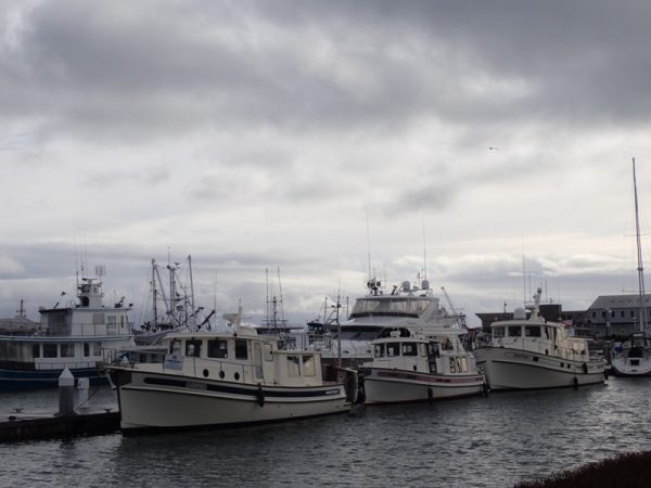 Anacortes Docks