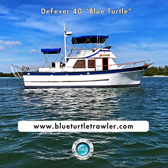 Blue Turtle Blog