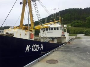 Terrapin Yacht