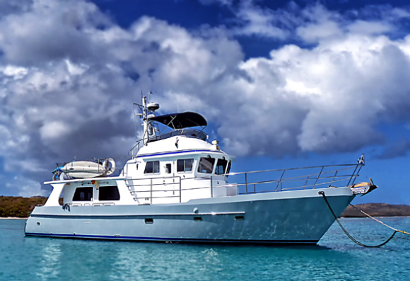 Seahorse 52 – Pegasus Seahorse 52 – Pegasus