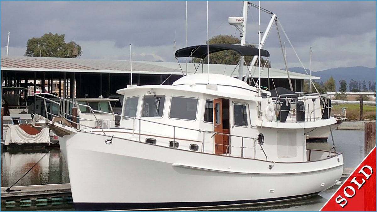 Rosa Blue Lady Charme 50 Semi Di Rosa Rara 'Lady Di Charme' Blu Chiaro - Pianta Rampicante Profumata Semi Fiori Arrampicata