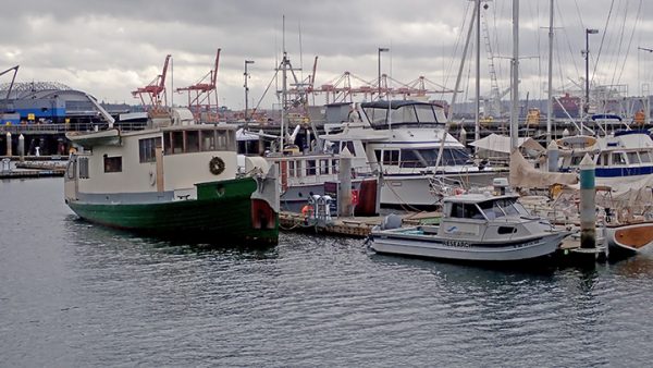 Seattle boat show boats in marina