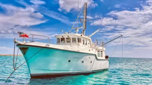 Nordhavn 40