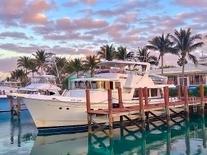 Picture of Selene 59 Calypso
